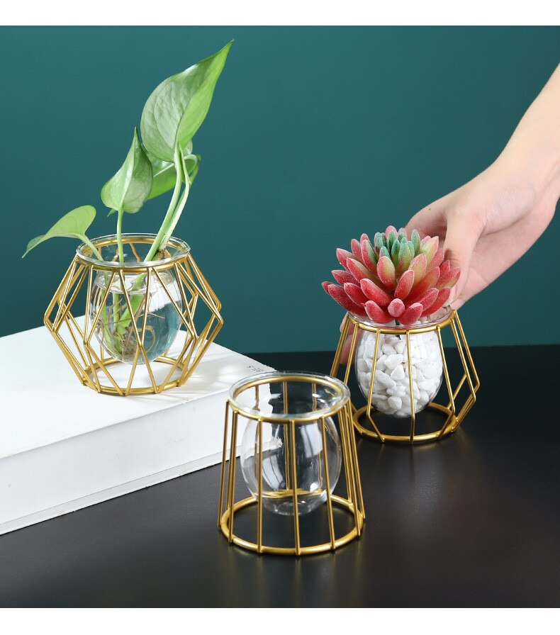 Line Vase Hydroponic Plant Vase